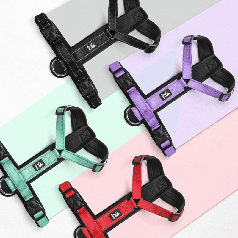 Peitoral H para Cachorros de Médio e Pequeno Portes - cores