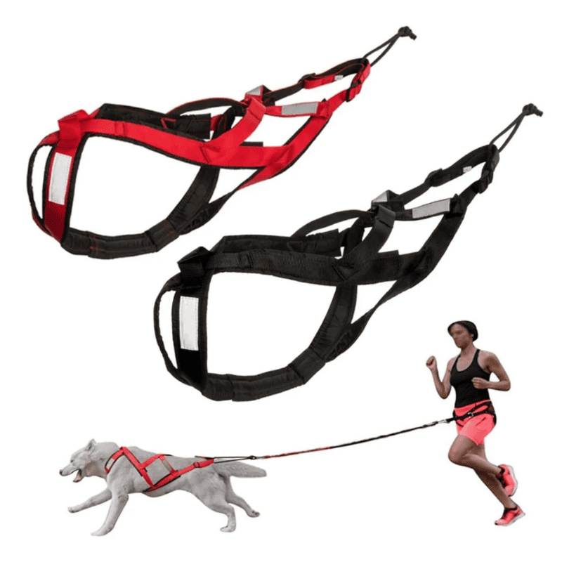 Peitoral de Tração X-Back para Cães Grandes – corrida