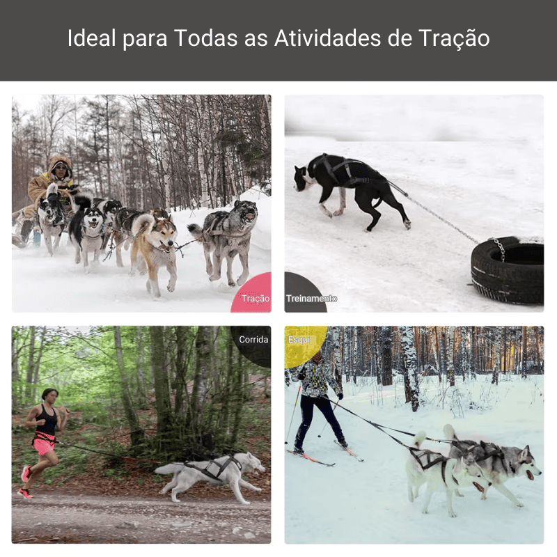 Peitoral de Tração X-Back para Cães Grandes – tipos de uso