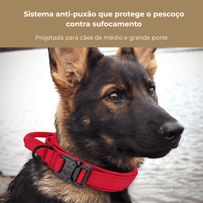 Coleira Tática para Cachorro Médio e Grande – sistema anti enforcamento