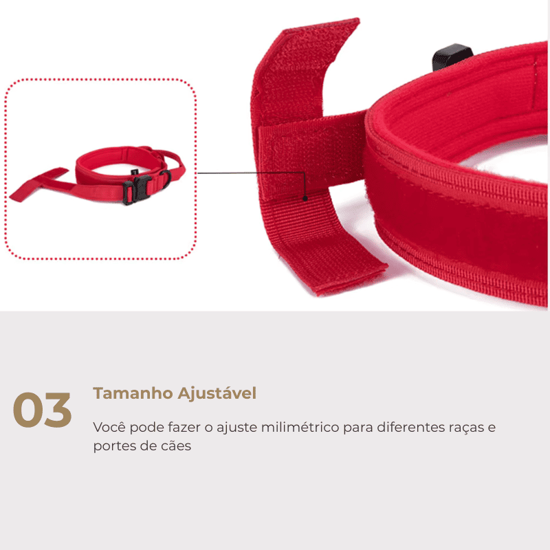 Coleira Tática para Cachorro Médio e Grande – tamanho ajustável