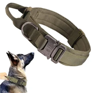 Coleira Tática para Cachorro Médio e Grande